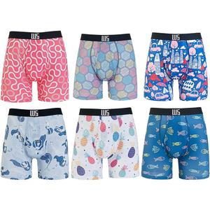 Warriors & Scholars | Mens Boxer Briefs | Boxer Briefs for Men Pack of 6 | Mens Boxer Briefs Underwear | Boys Boxer Briefs (Large)