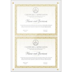 Briwooody 14 x 20 Acrylic Double Diploma Frame for Two 8.5 x 11 Diplomas, Certificates, Degrees, Documents Wall Mount Picture Frame Self Adhesive Floating Frameless Photo Display(Clear)