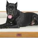 Comfort Expression XXL Orthopedic Dog Bed, Waterproof Dog Beds for Extra Large Dogs, Washable Pet Sofa Couch with Removable Cover & Non-Slip Bottom (XX-Large, Khaki) (53.0"L x 42.0"W x 9.5"Th)
