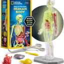 National Geographic Human Body Model for Kids That Glows in The Dark - 32-Piece Interactive Anatomy Model with Bones, Organs, Muscles, Science Kit Stocking Stuffer, Anatomy & Physiology Study Tools