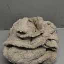 Aganear Fleece Throw Blanket - Cozy Soft Lightweight Fuzzy Throw Blanket for Women Portable Throw Blankets for Couch, Warm Present for Birthday, Christmas, Halloween, Housewarming(50"x60", Khaki)