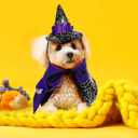 BESPORTBLE 1 Set Halloween Cat Costume Cat Cloak Hat Dog Halloween Costume Costumes for s Puppy Pet