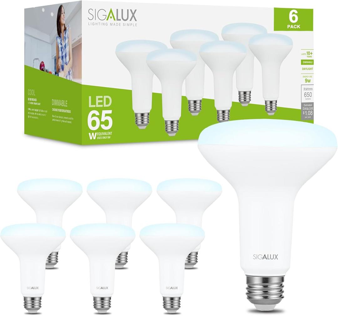 Sigalux LED Flood Lights Indoor, BR30 LED Bulb 65W Equivalent, Dimmable Recessed Light Bulb 650LM 5000K Daylight Can Light Bulbs, E26 Base Bulged Bulbs UL Listed, 6 Pack (6 Count (Pack of 1), 65w-daylight)