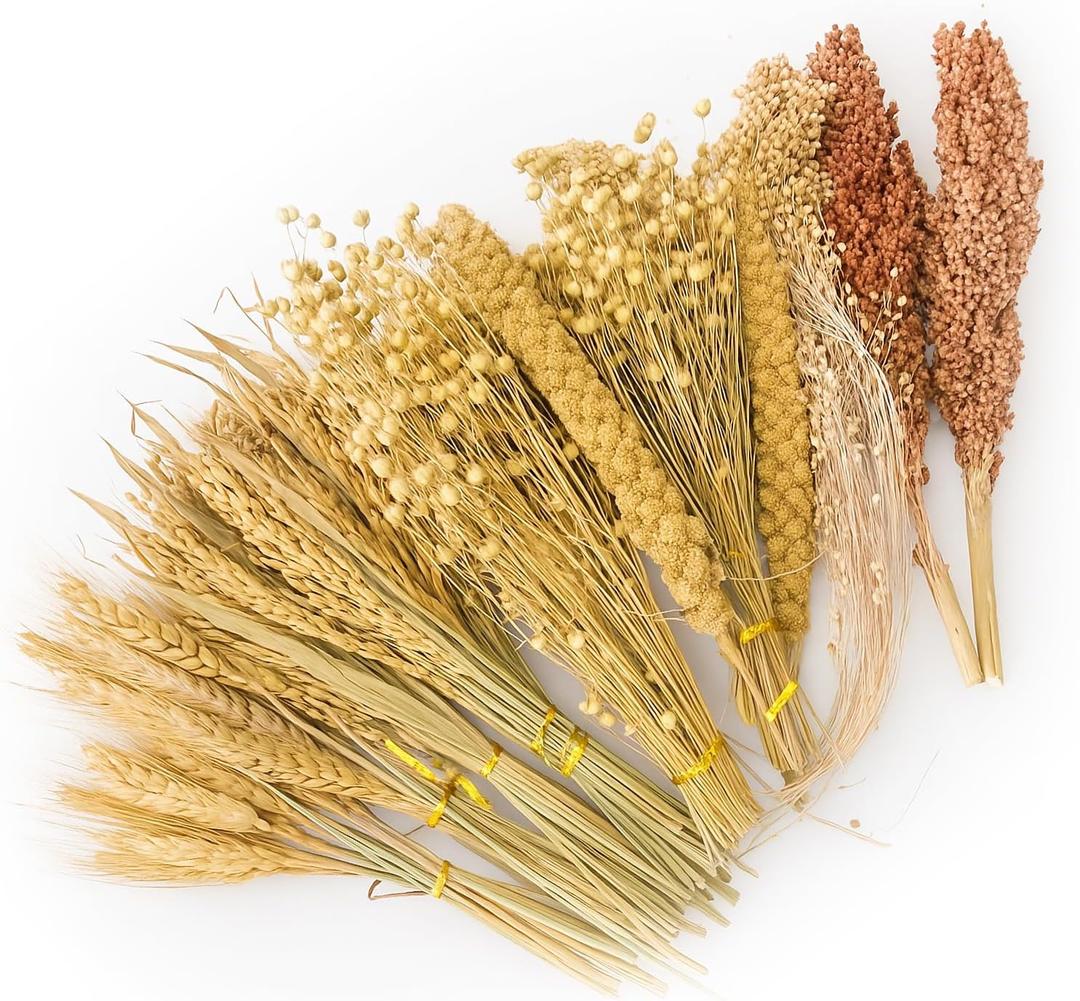 ZIPPYPET Hamster Sprays and Forage Accessories for Cages, Pet Mouse Decor Textures (7) (colorB)