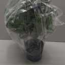 2FT Artificial Norfolk Pine Christmas Tree  Tabletop Faux Tree Unlit/Prelit with 50 LED Lights & 8-Function Battery Box, Pre-Assembled Holiday Decor for Home or Office (Prelit-2FT-1Pack)