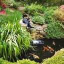 Tetra Pond AlgaeControl 16.9 Ounces, Controls Green Water And String Algae In Ponds (77187)