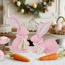 DR.DUDU 2 Pack Woven Bunny Easter Decor - Bunny Decorations for Home, Spring Rabbit Figurines for Shelf Table Centerpiece (Pink)