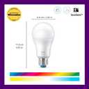 WiZ LED Smart Light Bulbs, Sunset to Sunrise Automation + Motion Detection + Control with Voice or App, Full Color A19 60W 800LM E26 Indoor, Matter Compatible - 1 Pack