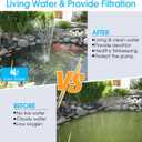 POPOSOAP Pond Filter with Pump Fountain Kits, 660GPH Pond Filter with 40W Pond Pump & Fountain Kit, Koi Pond Filters for Outdoor Ponds Clean, Clear, and Add Water Features(Corded Electric)