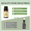 Fresh Essential Oils Set  8 Pcs Uplifting Aromatherapy Oils for Diffuser | Purifying Scents for Home,Fragrance Oil for Candle, Aromatherapy Gift Set | Lemon, Peppermint, Rosemary, Eucalyptus & More