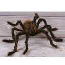 Fun World Posable Hairy Spider Black 30" 2 Pcs