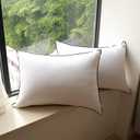 Luxury Goose Down Pillows, Soft and Comfortable Pillow for Sleeping,100% Cotton Shell,Designed for Ultimate Support and Relaxation - 2 Pack,Standard Size (20" x 26") (Velvet White)