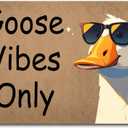 Funny Welcome Doormat (23.7 in X 15.6 in) Anti-Slip Rubber Back Entrance Way Indoor Front Porch Decor Rugs House Warming Gift (Hilarious Unique Goose Vibes Only)