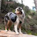 Adventure Backpack - Pink - XL