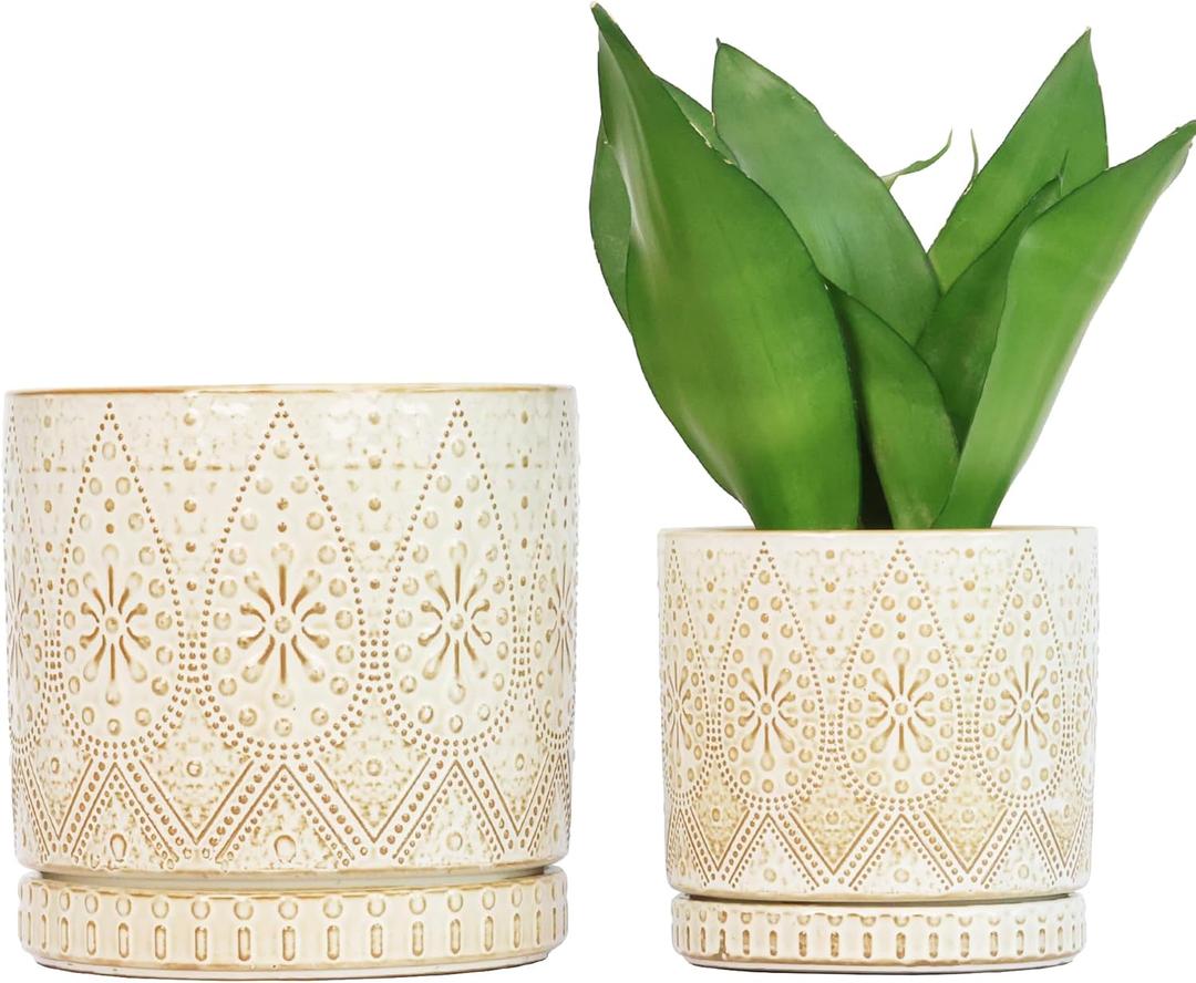 8 Inch + 6 Inch Indoor Plant Pot with Drainage Holes and Saucers, Ceramic Planter for Plants, Succulent Orchid Flower Pots (Creamy White)
