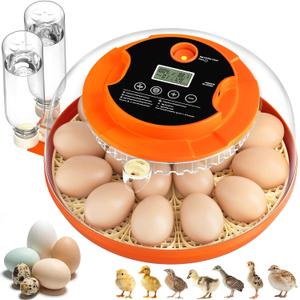 18 Egg Incubators for Hatching Eggs, Automatic Egg Turning and Humidity Control Incubator for Hatch Chicken Duck Quail Pigeon Pheasant Partridge Home Classroom Lab-