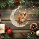 3 x Christmas Tree Decorations, Acrylic Christmas Tree Ornaments, Double-Printed Animal Hanging for Christmas Tree, Home Decor, Children's Gifts (Owl) (Moon-owl 2)