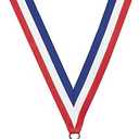 10 Pack of 2.5 Inch Die Cast Metal 2nd Place Swimming Award Medallions with Antique Silver Finish and Red White & Blue Neck Ribbons