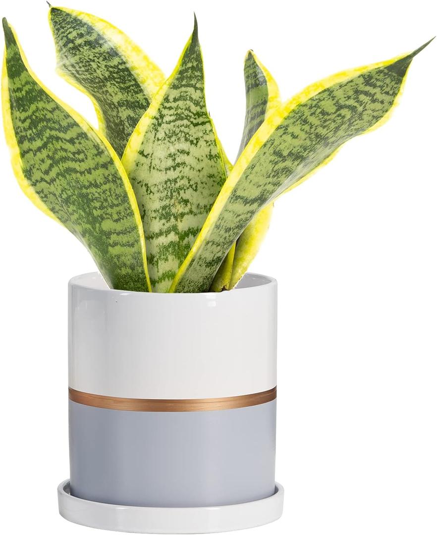 Ekirlin 4 inch Plant Pot - Ceramic Flower Planters Indoor - Modern Succulents Containers with Drain Hole Saucer, Decorate Home, Office & Outdoor (Grey)