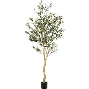 Realead 6ft Faux Olive Tree, Tall Olive Tree Plants, Fake Potted Olive Silk Tree, Artificial Olive Trees for Modern Home Office Living Room Floor Decor Indoor