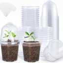 Premium Pack of 60 Growing Pots with Humidity Dome - Transparent Plastic Plant Pots - For Succulents, Seeds, Seedlings, Orchids, 2.25x3x3"