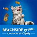 Purina Friskies Cat Treats, Party Mix Beachside Crunch - 30 oz. Pouch (EXP 10/01/27)