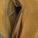 Xuhal 12 Pcs in Our Cruise Era Magnetic, Large Cruise Ship Decorative Magnets Door Decorations Nautical Magnets Funny Carnival Sea Navigation Decorations for Door Car Fridge Refrigerator