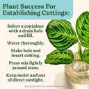 Miracle-Gro Indoor Potting Mix for Seed Starting, For Starting Vegetable, Flower, and Herb Seeds Indoors, Excellent for Cuttings, 8 qt. (2-Pack)