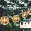 ADIIL 20 PCS Q Hanger Hooks with Safety Buckle, Windproof Screw Hooks for Hanging Outdoor String Lights, Plants, Christmas Patio Lights, 2.2 Inches, Black