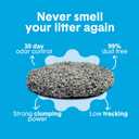 Boxie Unscented 30 Day Odor Control Clumping Clay Cat & Kitty Litter 28 lb, 99.9% Dust-Free, Hard Flat Top Clumps, No Fragrances No Fillers, Long-Lasting, Easy to Scoop