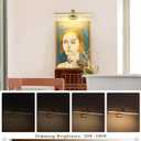 Joossnwell Hard-Wired Picture Light for Wall Brass Art Lighting Dimmable Gallery Light 23.39 inch Picture Frame Light with Adjustable Swing Arm for Painting Library Display Artwork Museum Warm White