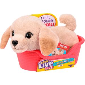 Little Live Pets My Really Real Puppy Mini Buddy The Retriever, Interactive Plush Toy with Basket, 20+ Sounds and Reactions, Puppy Toys for Kids