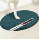 Muddy Mat® Shown on TV Super Absorbent Microfiber Dog Door Mat for Muddy Paws, Non-Slip Washable Pet Rug, Quick Dry Chenille Entryway Carpet, Machine Washable Mat, Atlantic Green Oval 5ft x 7ft