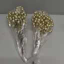 24 pcs Christmas Berries Stems Artificial Berry Stems for Christmas Tree Ornaments Crafts Holiday and Home Decor (Gold)