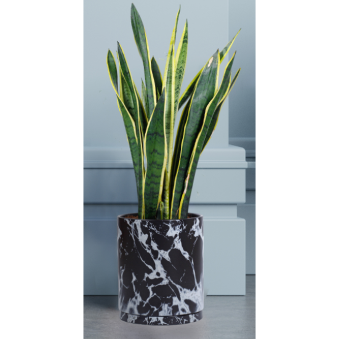 GJCR products 10 Inch Round Ceramic Planter with Tray, Black Marble Finish, Indoor Plant Pot with Drainage Mesh and Scratch Pad Black