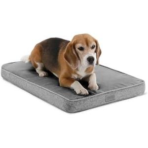 Amazon.com : Diggs Snooz Memory Foam Dog Bed - Ideally Sized Revol Dog Crate Pad - Premium Orthopedic Pet Bed for Crate or Home - Grey, Medium : Pet Supplies