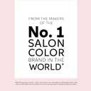 COLORCHARM Powder Hair Lightener | Up to 7 Levels of Lift | Dust Free 