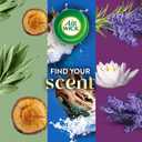 Air Wick Scented Oils 0+5 White Sage & Mahogany