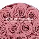FIACO 12 Preserved Roses in Box Forever Flowers for Delivery Christmas Anniversary Birthday Gifts for Women Fresh Eternal Rose Valentines Day Gifts for Her-Dusty Rose