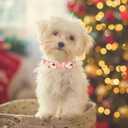 Christmas Dog Collar, Cotton Collar for Puppy Girl Boy Dog or Cat, Comfortable Dog Collar with Durable Metal Buckle, Adorable Pet Collar, M