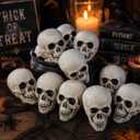 Fun Express White Plastic Realistic Skeleton Skulls 5 Inch for Halloween Party, Bar and Table Decorations, 12 Pack