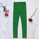 Wildarms Girls Leggings - Shimmer Dance Pants for Festive Wear for Yoga, Workouts,Casual wear (Green)