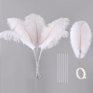 Ballinger White Ostrich Feathers Bulk - Making Kit 10Pcs 28 inch Large Boho Feathers for Vase, Floral Arrangement, Wedding Party Centerpieces and Christmas Home Decorations