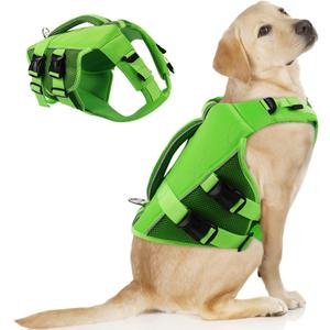 ASENKU Dog Life Jacket - Pet Safety Vest for Swimming & Boating, Shark Life Jacket with Floatation, Dog Lifesavers Swimsuits for Small Medium Large Dogs (Green, 2XL)