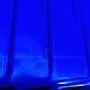 Akro-Mils 30130 Plastic Shelf Bins, Heavy Duty Storage Bins for Garage, Closet, and Drawer Organization, 12-Inch x 6-1/2-Inch x 4-Inch, Blue, 12-Pack