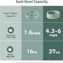Havniva Ceramic Raised Slow Feeder Dog Bowl Set, Elevated 7.3inch Bowl and 8.2inch Puzzle Slow Dish with Wooden Stand for Medium and Large Dog, Anti-Gulping (2X Light Green+ Stand)