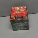 Amaryllis Kit: Minerva + Plastic Pot/Soil/Bulb - Large Bulb 26/28 cm -Netherland