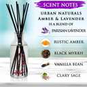 Urban Naturals Amber & Lavender Reed Diffuser Scented Sticks Set | (Awaken + Renew) Mind & Body Aromatherapy Collection | Essential Oil Botanical Diffusing Room Scent