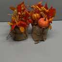 2 Styles Thanksgiving Decorations - 2 Pack 10 Inch Fall Decorations Tabletop Fall Tree Thanksgiving Table Centerpieces Maple Tree with Pumpkin Leafed Berry Wheat Thanksgivings Centerpieces for Tables