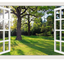 Fake Windows Large Wall Sticker Murals Decor 50"x35"-Sunshine Tree Self-Adhesive Wallpaper Decal,3D Peel and Stick Forest Natural Scenery Removable Bedroom Office Faux Windows Poster Picture